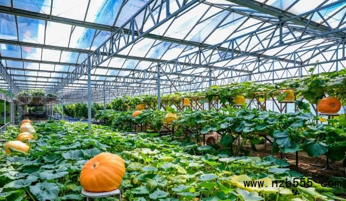 微信截圖_20250421164951