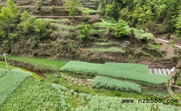 微信截圖_20250427170213