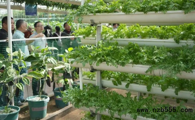 微信截圖_20250506165943