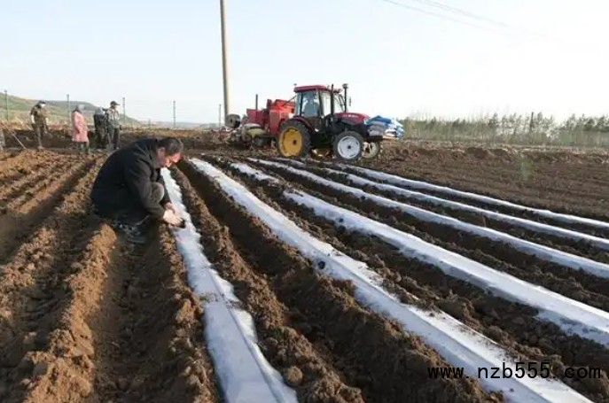 微信截圖_20250506170545