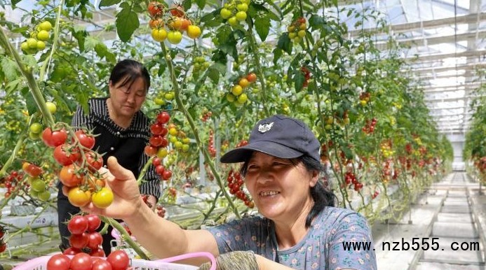 微信截圖_20250519114559