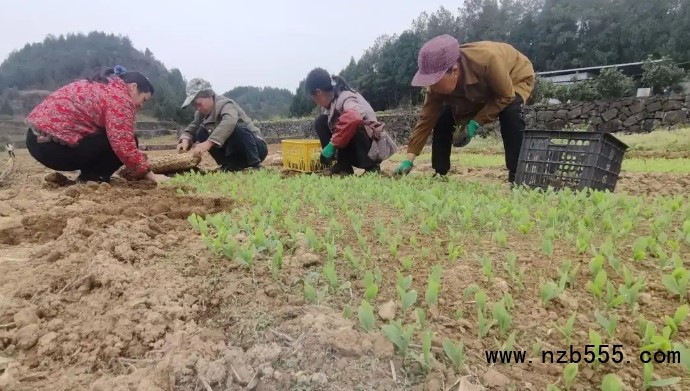 微信截圖_20250526140133