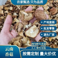 云南野生香菇干貨批發(fā)包郵天然干香菇高原頭茬厚菇量大價(jià)優(yōu)