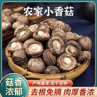 干香菇干貨500g農(nóng)家精選煲湯肉厚無(wú)根干蘑菇菌菇冬菇菌菇特產(chǎn)批發(fā)