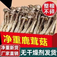 鹿茸菇干貨500g云南特產(chǎn)脆脆菇菌包材料營養(yǎng)煲湯佳品50g