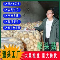 古田猴頭菇干貨粉猴頭菌原料剪根剪腳無(wú)硫散裝食用菌批發(fā)出口級(jí)