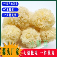 仿椴木小銀耳干貨秋沐新貨糯耳羹出膠雪耳古田干貨白木耳銀耳批發(fā)