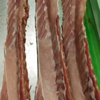 廠家供應批發(fā)冷分割冷凍豬肉產品 凍豬脊骨冷鮮