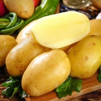 黃皮黃心土豆整箱5/10斤軟糯香甜洋芋馬鈴薯現(xiàn)挖農家蔬菜新鮮現(xiàn)挖