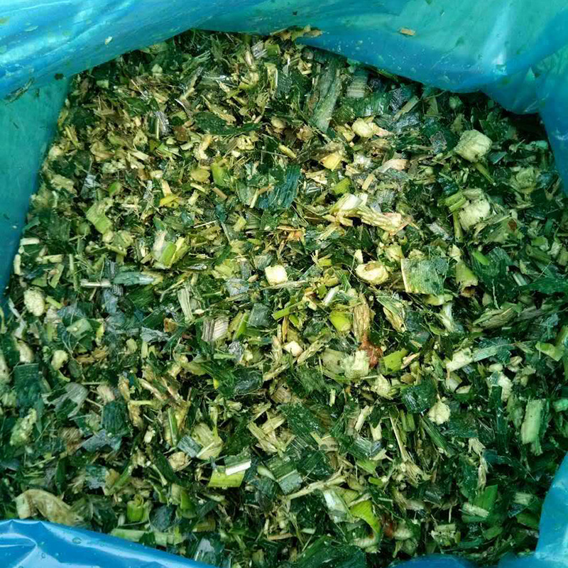 9327319211_1317801384