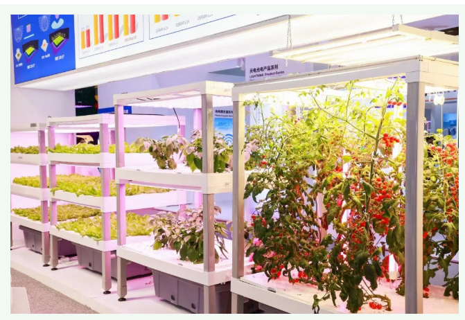 NPjyIAAAAASUVORK5CYII=