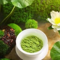 私藏西安品茶工作室攻略從選茶到品鑒解鎖沉浸式茶文化體驗(yàn)