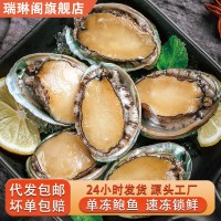 新鮮冷凍大號(hào)鮑魚(yú)現(xiàn)貨速凍鮑魚(yú)佛跳墻原料帶殼鮑魚(yú)海鮮水產(chǎn)批發(fā)