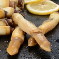 蟶子 貝類(lèi)去殼海捕新鮮蟶王肉冷凍竹節(jié)蟶子海鮮批發(fā)200g順豐包郵