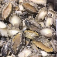 成都批發(fā)鮑魚(yú)肉10斤件 去殼去肚速凍純鮑魚(yú)肉海霸王酒店食材