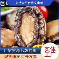 鮑魚(yú)鮮活冷凍特大鮑魚(yú)肉小鮑魚(yú)商用新海鮮水產(chǎn)撈汁飯批發(fā)火鍋食材