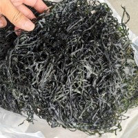 海帶絲干貨烘干海帶絲海帶圈圈跑江湖地攤展銷餐飲海帶絲批發(fā)貨源
