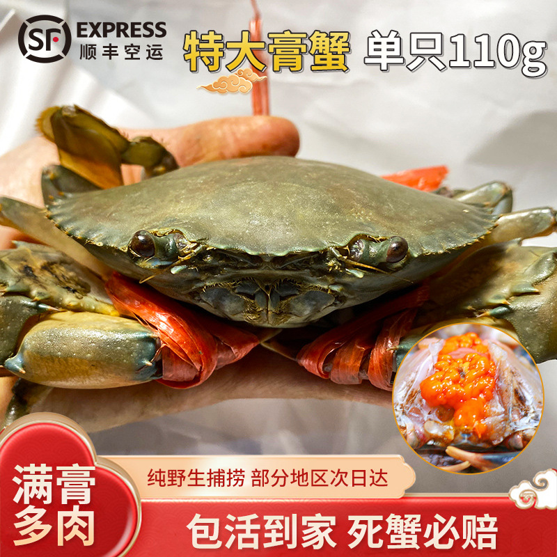 O1CN01Yse6lH1SymHwgcI0r_!!2209551992316-0-cib