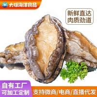 撈汁鮑魚(yú)鮮凍鮑魚(yú)批發(fā)鮑魚(yú)商用鮑魚(yú)肉商用帶殼活凍鮑魚(yú)批發(fā)撈汁