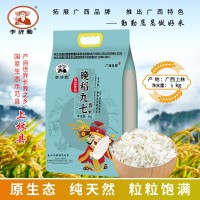 香軟絲苗米5kg長粒香大米10斤一袋新鮮南方秈米家用餐飲大米批發(fā)