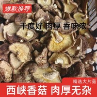 精品香菇干貨西峽產(chǎn)地工廠直銷精選大片香菇大厚菇實(shí)力工廠