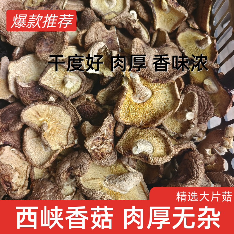 O1CN017HZobh2CCeydeoBHQ_!!2212753758438-0-cib