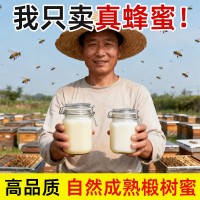 椴樹蜂蜜500g結晶豬油蜜雪蜜一斤源頭廠家一件代發(fā)椴樹蜜原蜜批發(fā)