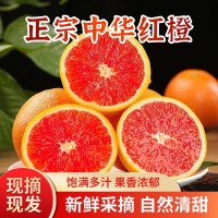 中華紅橙當(dāng)季鮮果新鮮采摘紅肉臍橙孕婦水果整箱秭歸臍橙產(chǎn)地直發(fā)