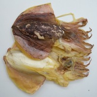 批發(fā)墨魚(yú)干海鮮海產(chǎn)水產(chǎn)干貨干墨魚(yú)500g海味干批發(fā)