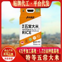 特等五常大米稻花香5斤5kg10斤一袋東北稻花長(zhǎng)粒香大米廠家代發(fā)