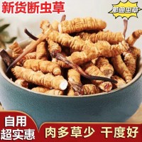 那曲冬蟲夏草大斷草純?nèi)夤?jié)蟲草斷草自用超實(shí)惠一手貨源批發(fā)天然