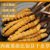 那曲冬蟲夏草干貨足干蟲草全規(guī)格散裝批發(fā)無(wú)斷草產(chǎn)地直供滋補(bǔ)品