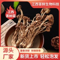 江西廣昌5號茶樹菇干貨批發(fā)農(nóng)家特產(chǎn)新鮮菌菇散裝菌菇類煲湯材料