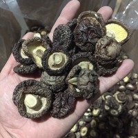 香菇干貨批發(fā)散裝 東北黑面香菇水菇冬菇古田產(chǎn)地直銷 干香菇