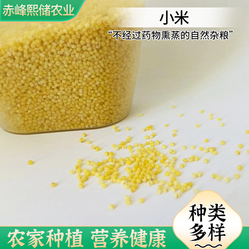 O1CN01LBg1BX1a0n76qjEkI_!!2213772823268-0-cib