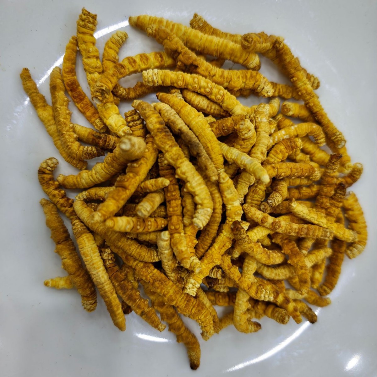 O1CN01WFQ1xr23MtQhASFrW_!!2221347837242-0-cib