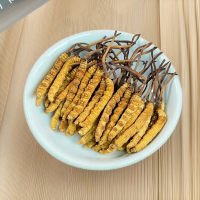 西藏冬蟲夏草批發(fā) 產地直供全規(guī)格蟲草足干冬蟲夏草禮盒 支持代發(fā)