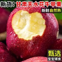 【越放越粉甜】花牛蘋果甘肅蛇果當季新鮮粉面沙甜整箱10/5斤批發(fā)