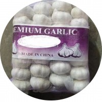 金鄉(xiāng)出口倉(cāng)庫(kù)直發(fā)蒜頭雜交白蒜紅蒜小網(wǎng)袋裝新鮮紅皮白皮大蒜