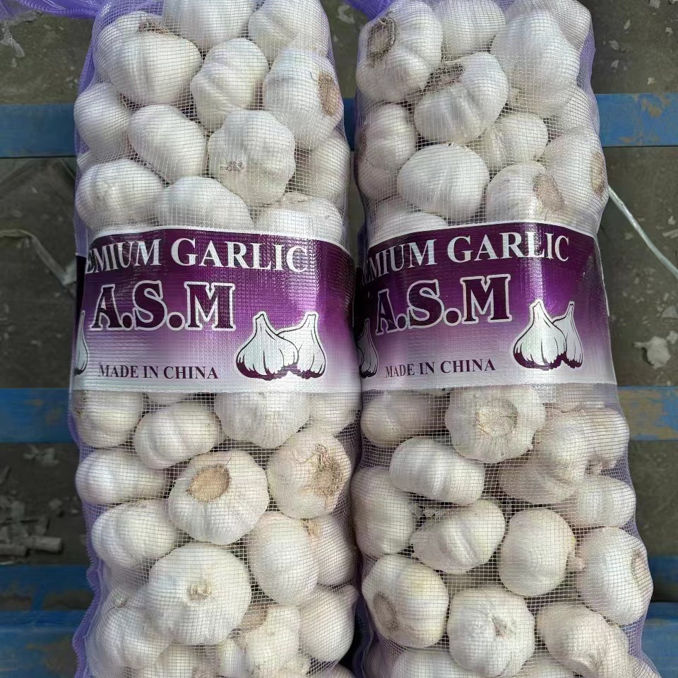 O1CN01SErVqf1kKAByZHuBt_!!4075204664-0-cib