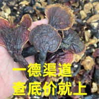 廠家批發(fā)大量干貨西藏中號靈芝中藥材煮水煲湯泡酒養(yǎng)生滋補(bǔ)