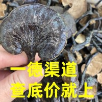大量 特大竹靈芝滋補(bǔ)品煲湯泡酒中藥材 一斤￥180