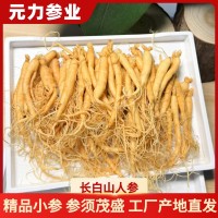 【人參批發(fā)】長白山保鮮參袋裝泡酒參火鍋煲湯廠家高麗參