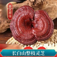 中藥材長(zhǎng)白山原生態(tài) 整個(gè)靈芝 林芝 500克35元 有靈芝草 靈芝片