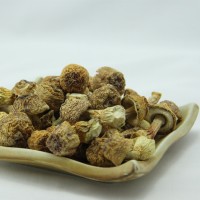 廠家直供湘蕈姬松茸L干貨巴西菇批發(fā)食用菌松茸菇料10kg整箱散貨