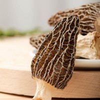 羊肚菌干貨特級(jí)野生500g新鮮菌菇煲湯干貨食材旗艦店禮盒云南菌子