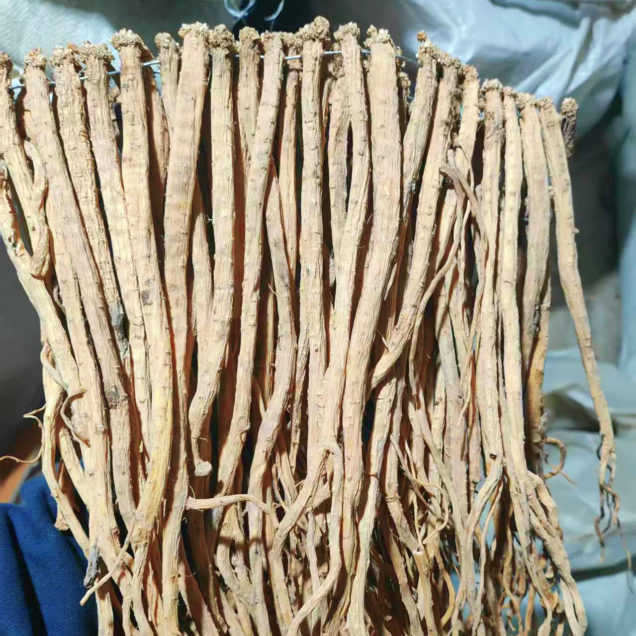 O1CN01j26iIl1rPO6dK7nD1_!!1117435623-0-cib