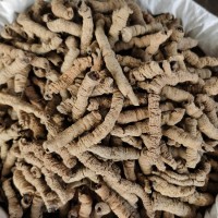 巴戟天批發(fā)中藥材巴戟肉各種規(guī)格產(chǎn)地大貨供應