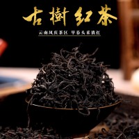 鳳慶滇紅茶 云南大葉種茶 醇厚甘甜古樹紅茶 500克散裝紅茶批發(fā)