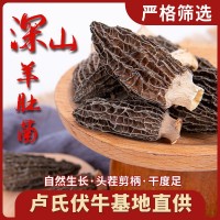 羊肚菌菌菇干貨批發(fā)干蘑菇食用菌現(xiàn)貨供應食用農(nóng)產(chǎn)品煲湯食材優(yōu)質(zhì)